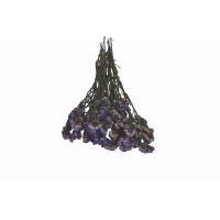 ​Αποξηραμένο Άνθος 18041 Χονδρική Γάμος Βάπτιση