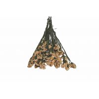 ​Αποξηραμένο Άνθος 18041 Χονδρική Γάμος Βάπτιση