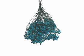 Άνθος Γυψοφίλη 18026 Χονδρική Γάμος Βάπτιση