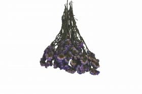 ​Αποξηραμένο Άνθος 18041 Χονδρική Γάμος Βάπτιση