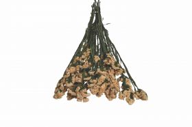 ​Αποξηραμένο Άνθος 18041 Χονδρική Γάμος Βάπτιση