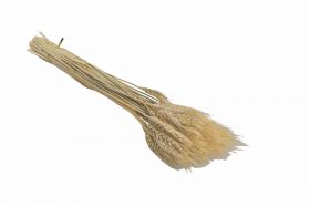 Στάχυ 18040 Χονδρική Γάμος Βάπτιση